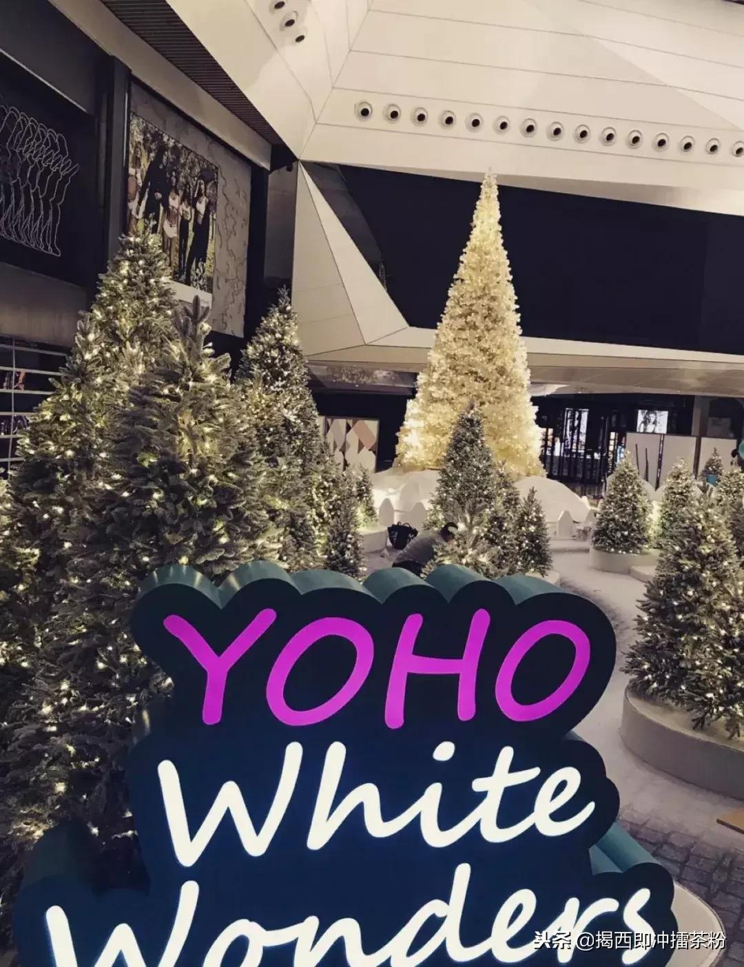 过分美丽!圣诞灯饰点亮香港:泰迪熊、比卡超、布丁狗陪你过圣诞