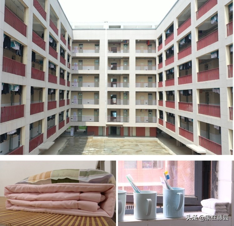 藤县八中精神,藤县八中视频