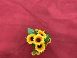 白云|小手拉大手,环保时装来走秀