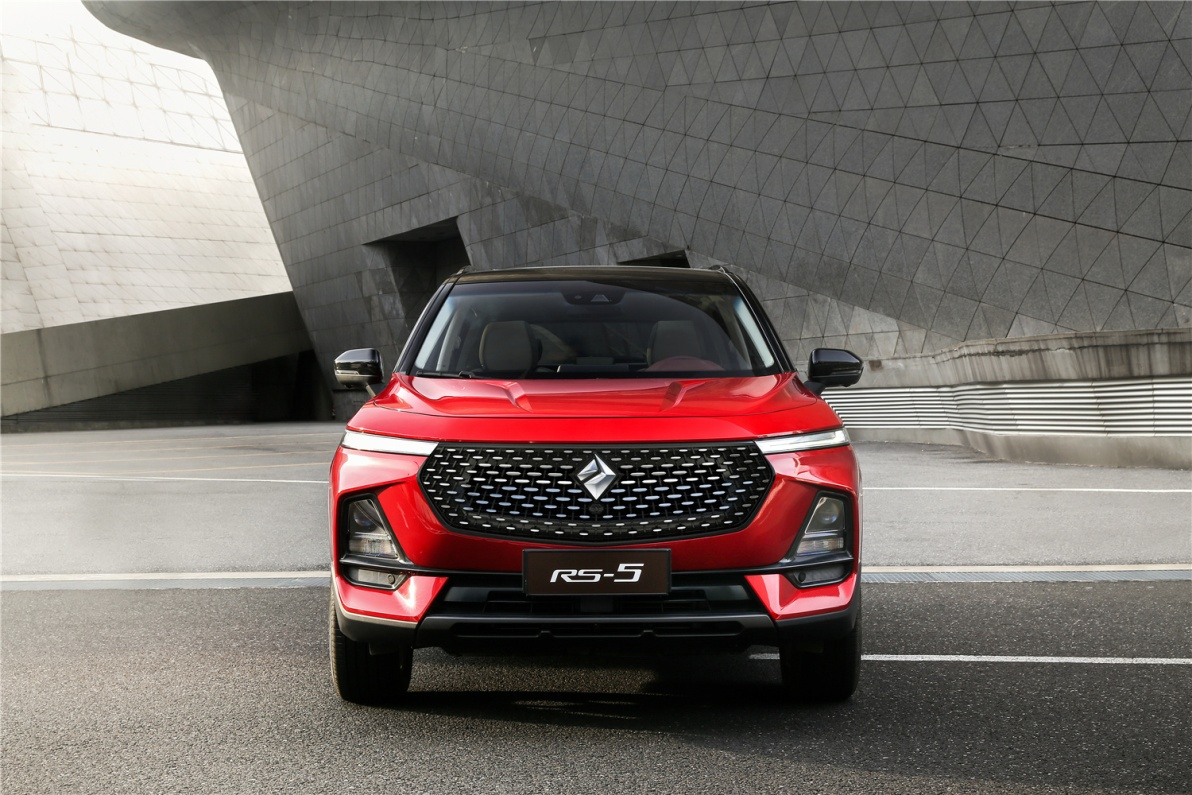 出口的中国车型,出口海外的中国汽车