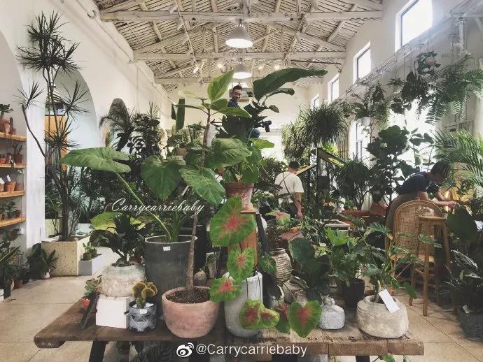 福州复古咖啡探店,福州小众咖啡馆推荐