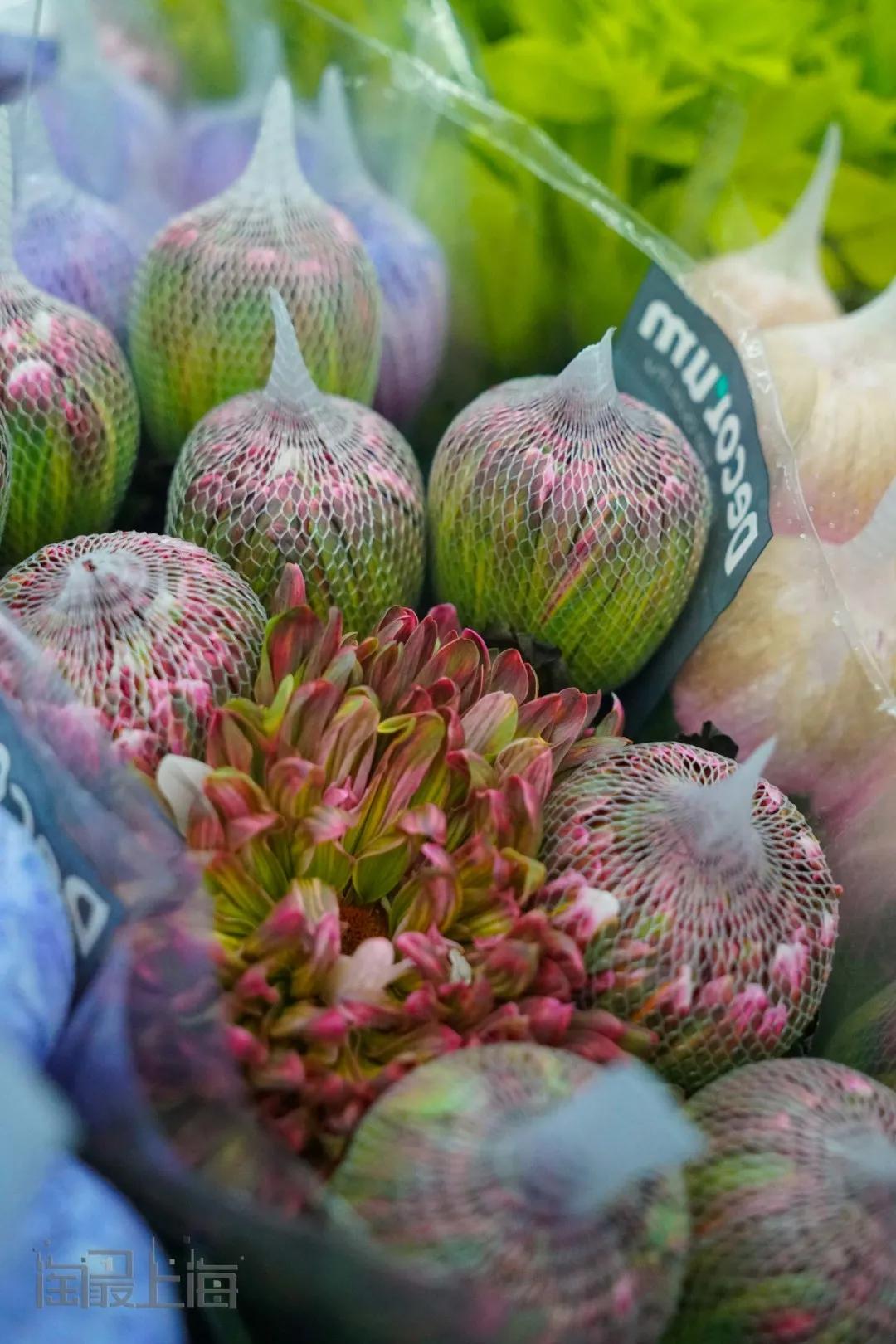 花卉市场晚上营业,今天的花卉市场