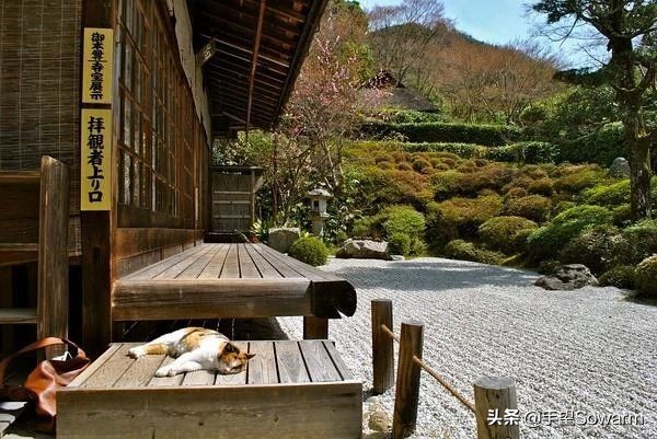 日本园林十大枯山水庭院,日式园林庭院枯山水桥