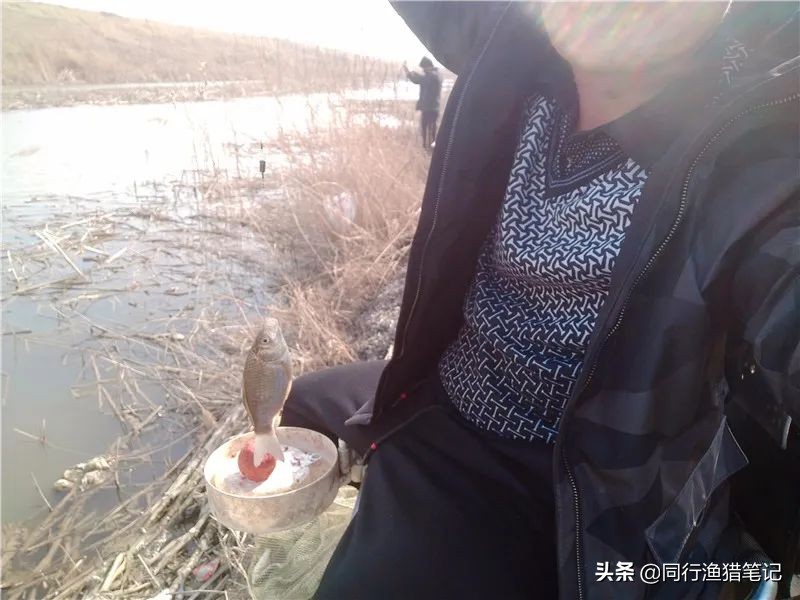 迎着倔强的西南风，抓耳挠腮与网工抢鱼，哪里说理儿去