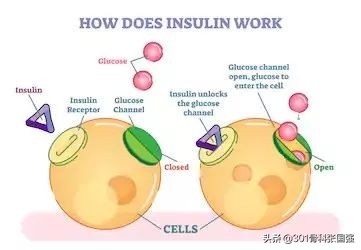 氨基葡萄糖吃多了伤肝吗,氨基葡萄糖吃了对血值有影响吗