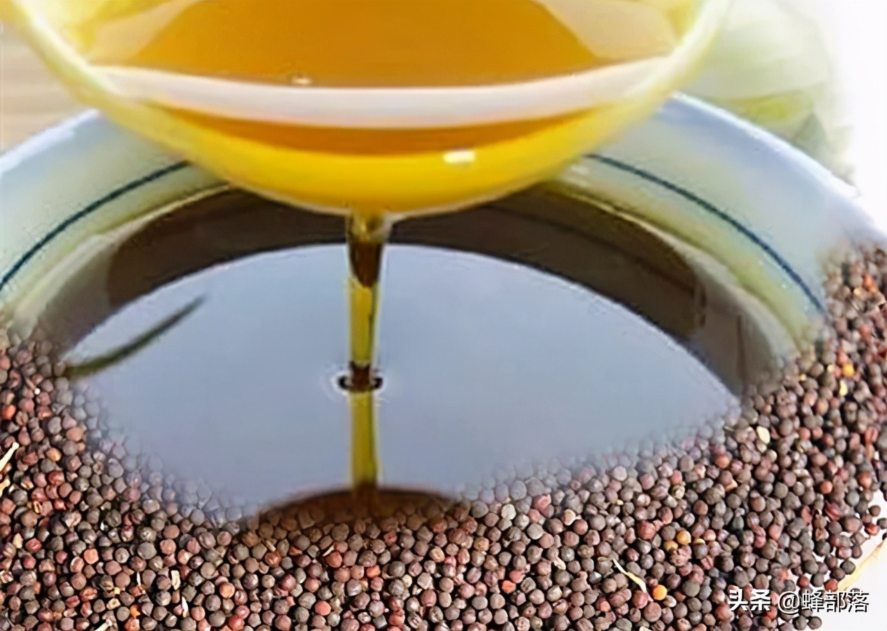 菜油怎么识别是好菜油,菜油好不好