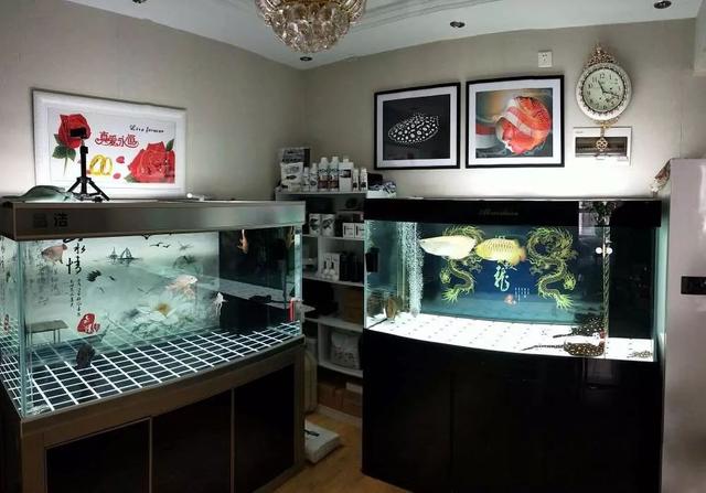 上岸原因令人震惊,上岸的缘由