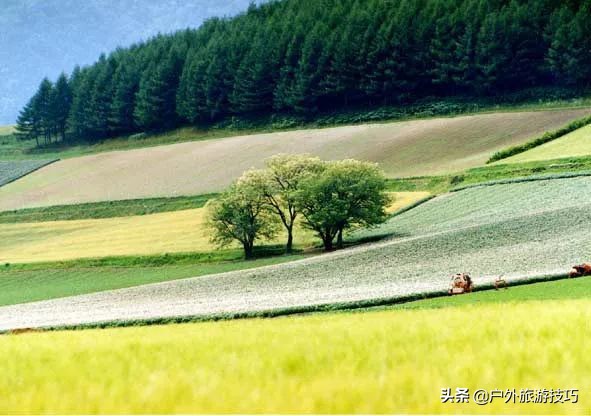 日本北海道富良野骑行攻略，试过在花田、花海中骑行吗？