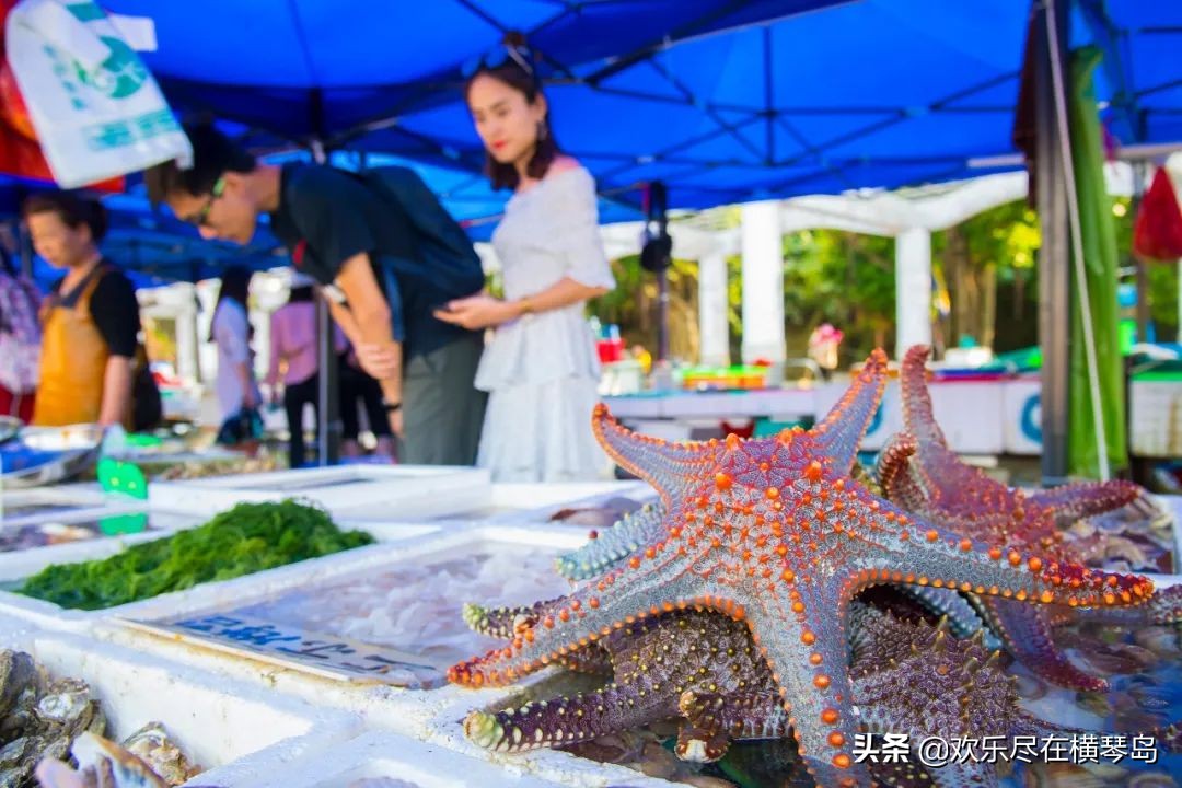 外伶仃岛旅游攻略能否开车,外伶仃岛旅游攻略日出