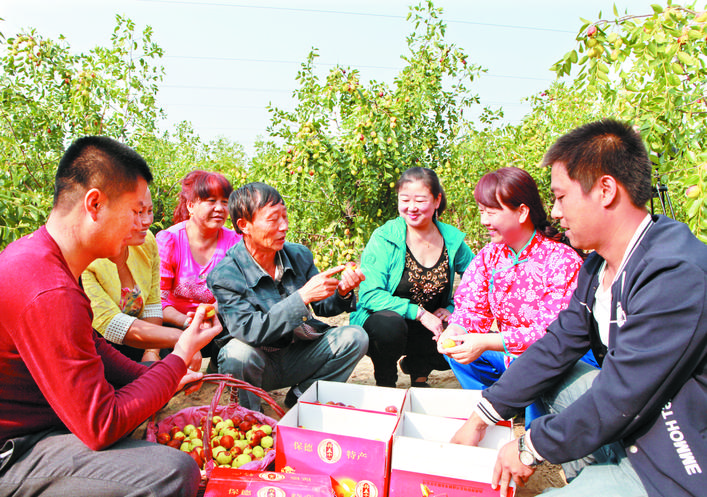 庆丰收感党恩山东各地丰收节活动,庆丰收感党恩宴席背景图片
