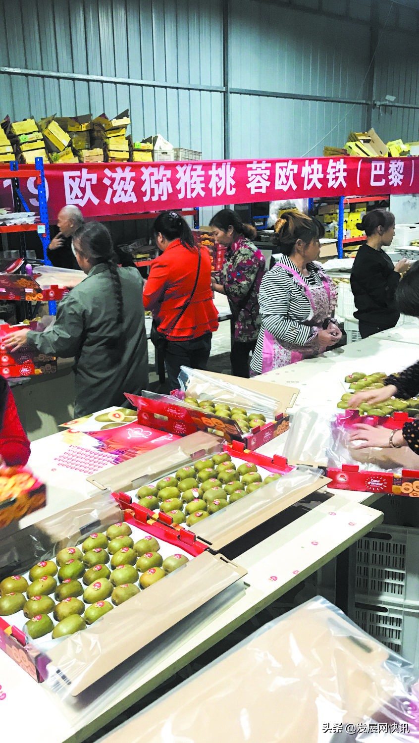 如鱼得水环境,如鱼得水工作顺利