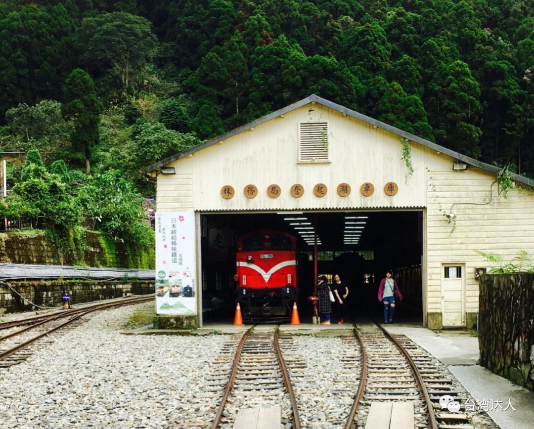 阿里山风景优美令人神往的好地方,阿里山有多美