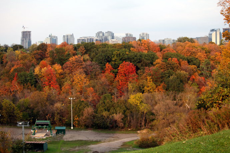 加拿大温哥华和多伦多哪个城市好,多伦多现状