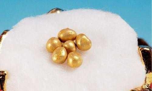 那些全球无法解释的神秘事件,盘点全球十大未解真实事件