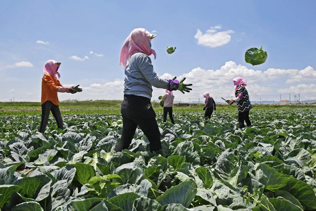 脱贫攻坚彪炳史册的伟大壮举,中国近十年脱贫攻坚的伟大事迹