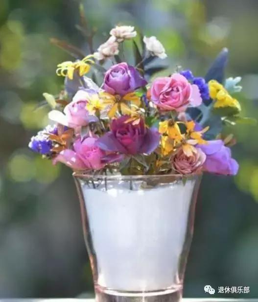 鲜花快枯萎了怎么变干花,枯萎的花先别扔