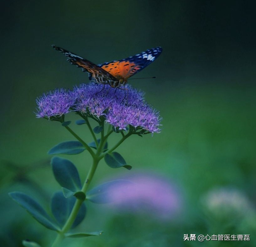 胸闷气短怎么治最有效的方法,胸闷和气短有什么不同