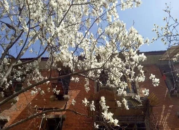 安徽省高校合肥理工,安徽省二类本科公办大学