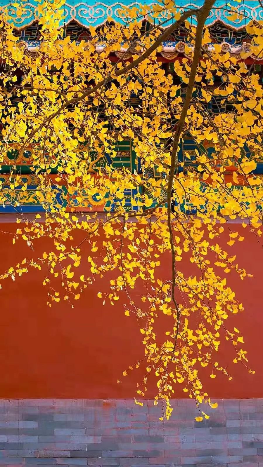 在中国歌曲,音乐在中国的发展史