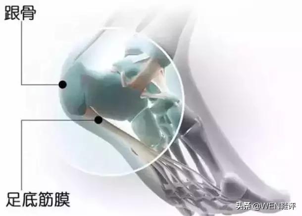 什么篮球鞋有支撑防滑抗扭,重心低的篮球鞋不容易崴脚吗