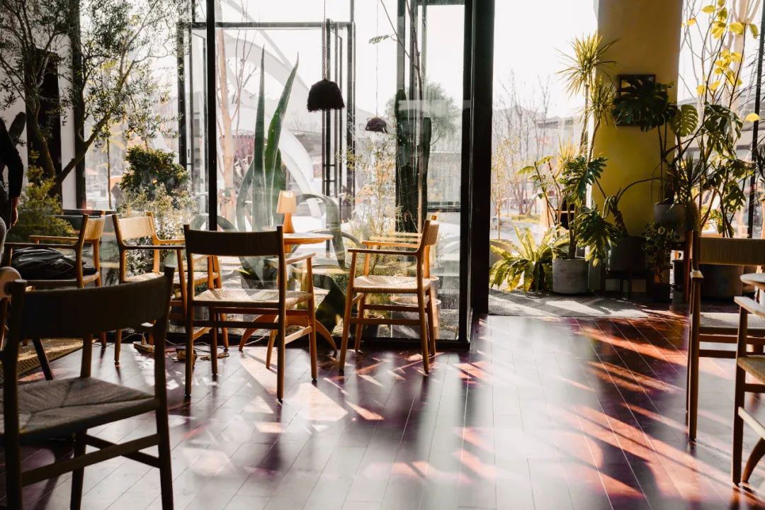 京城首家！探秘最热门“一尺花园”咖啡馆，西山脚*体下**会海派腔调