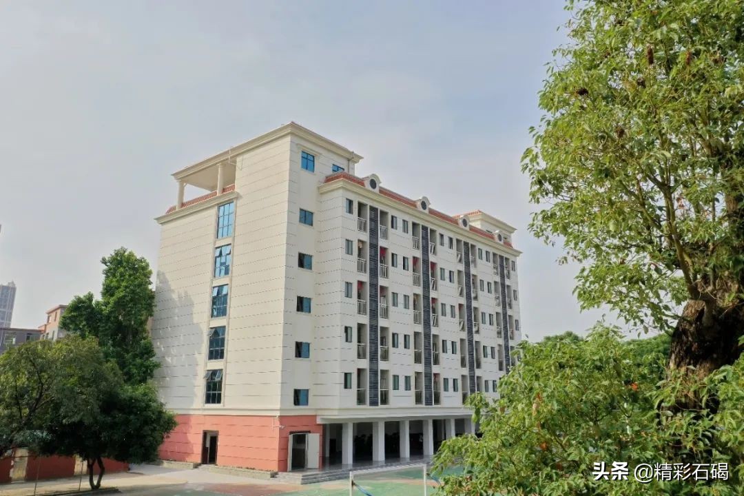 东莞石碣四海学校几时考试,石碣镇四海学校招生电话