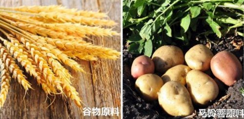 调酒入门伏特加推荐,伏特加调酒入门必备清单