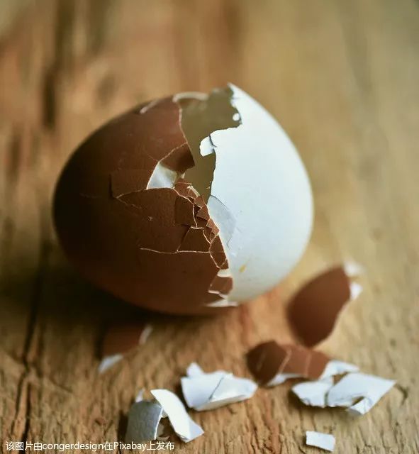 鸡蛋壳用途多千万别扔掉,鸡蛋壳有什么疗效