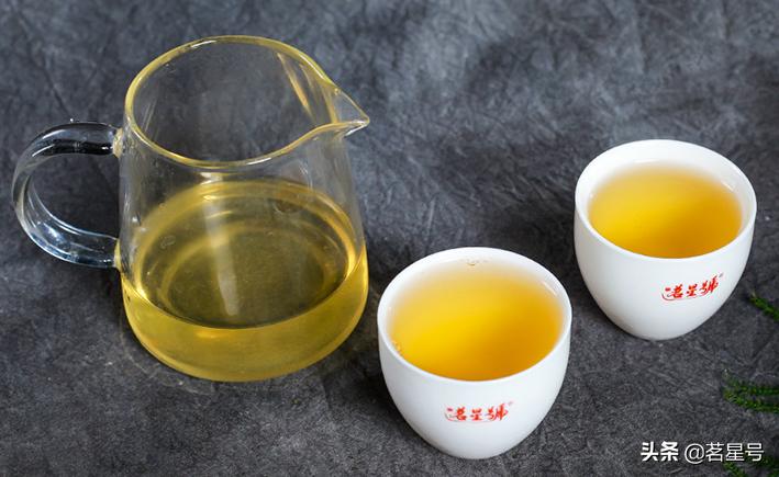 景迈山的普洱茶特征,如何识别景迈茶叶片