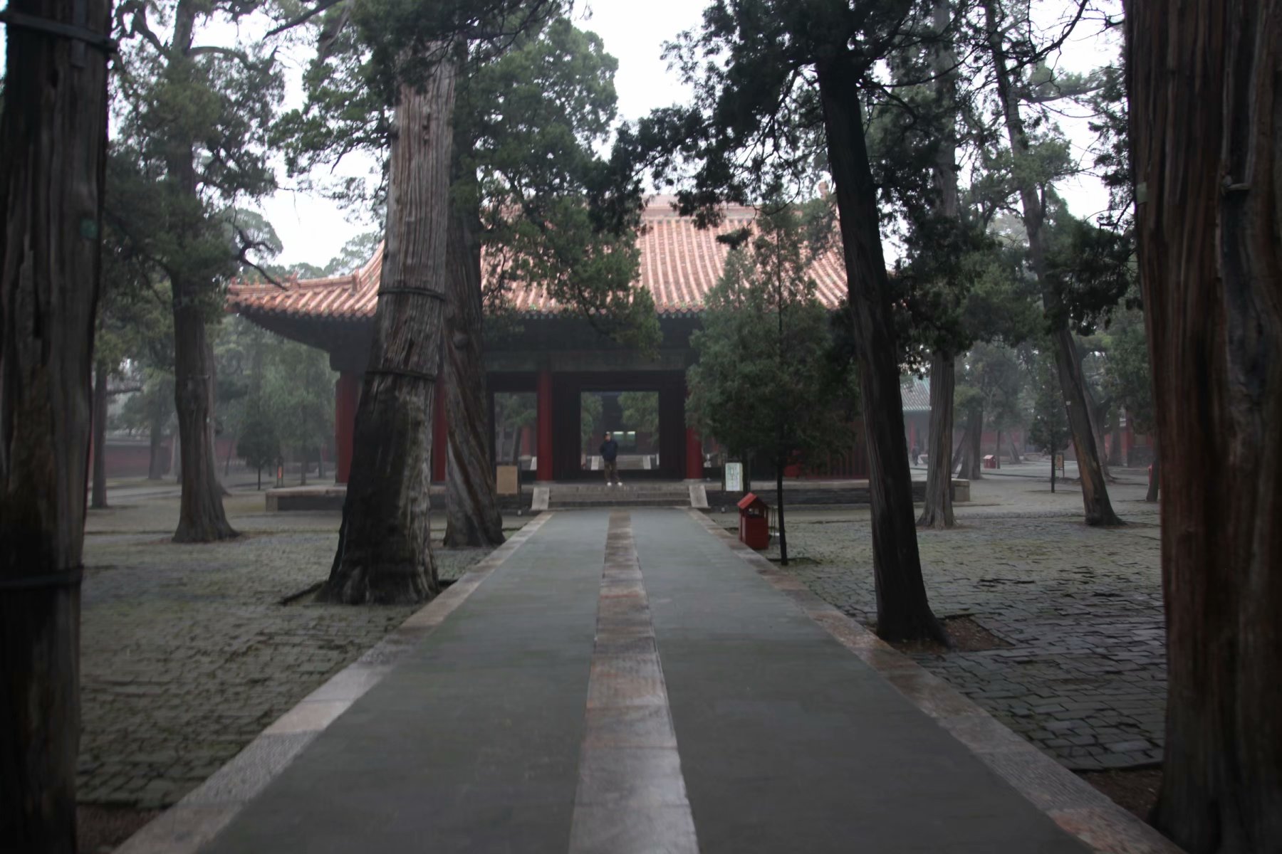 三孔在多少年被收入世界遗产名录,中国世界文化遗产三孔面积