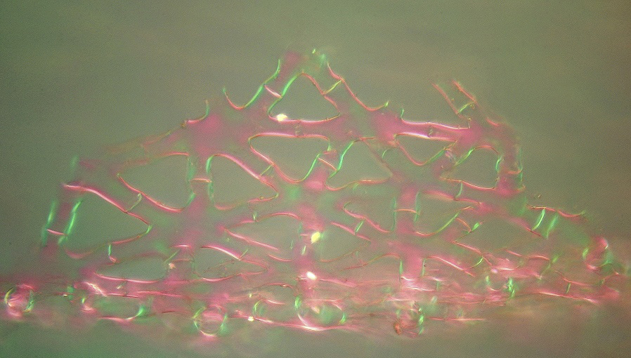 微观世界大自然,微观世界的神奇视频