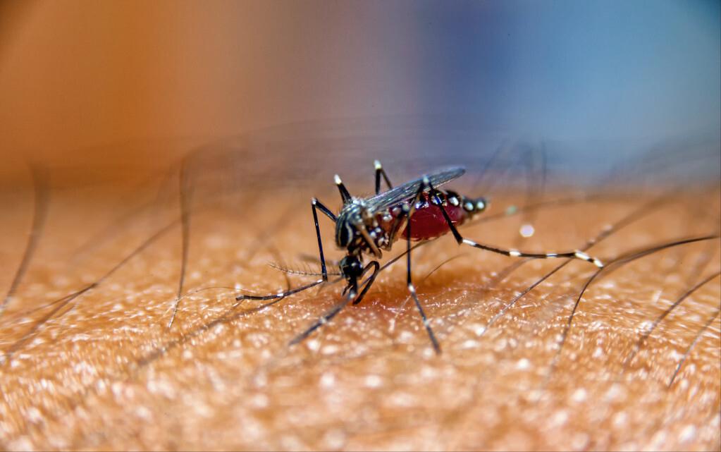 怎么避免蚊子叮咬孩子,防止蚊子叮咬小妙招儿童