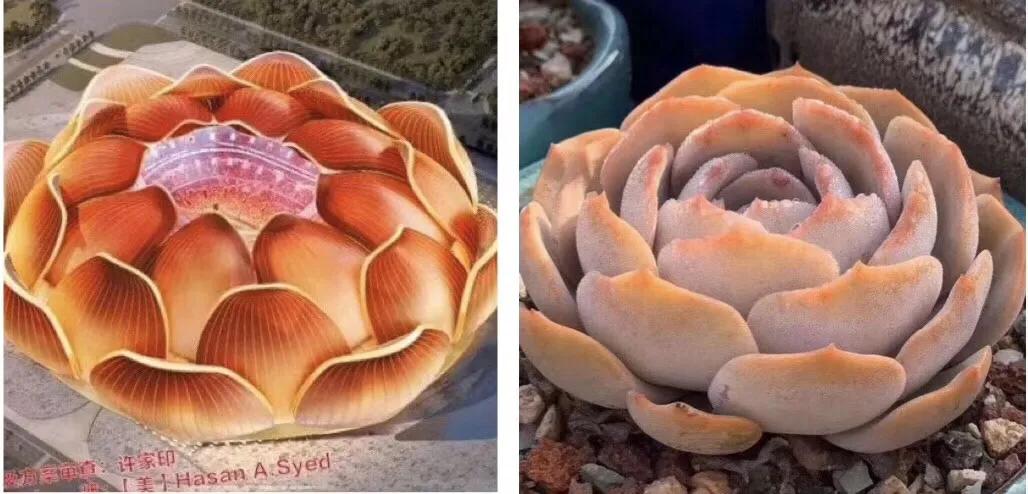 最新消息许老板,许老板最近的新闻