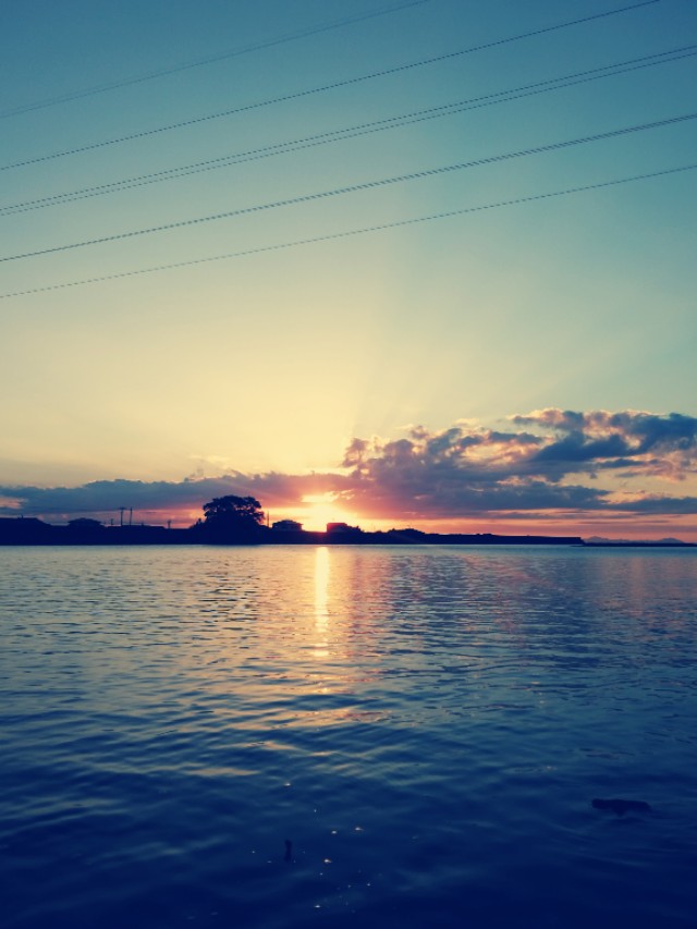 日企工作要求,日企工作有哪些收获