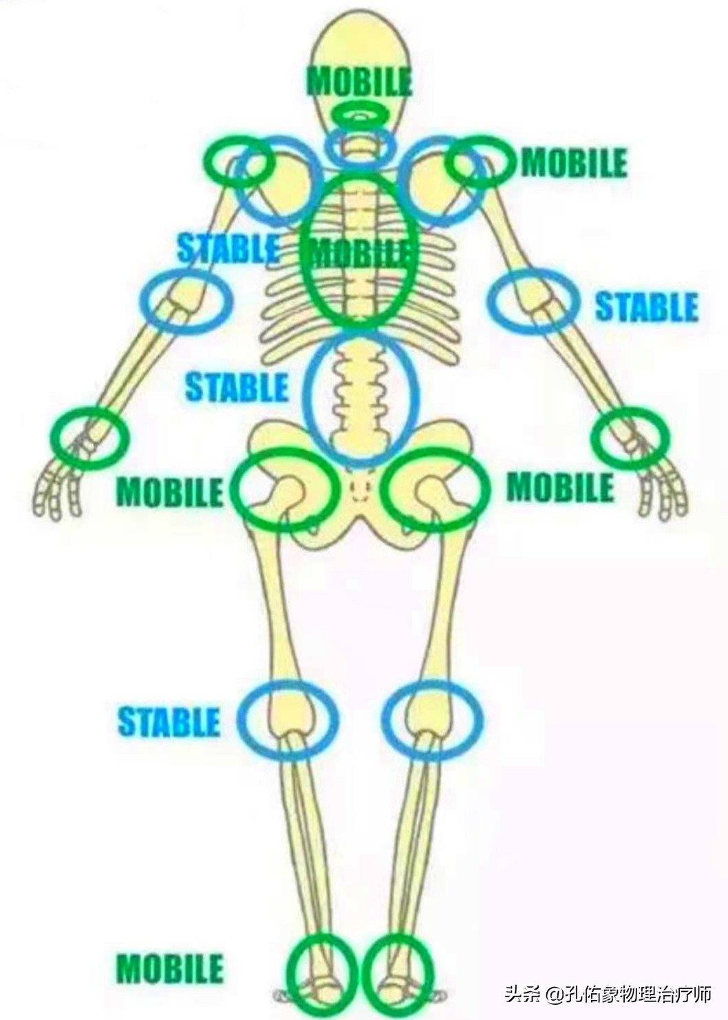 为什么弯腰之后就起不来,为什么弯腰起来特别不舒服