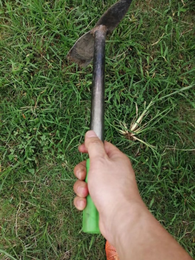 漫漫踢球路:疫情后的草根足球艰难前行,行进了派出所!