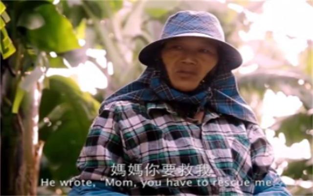 玫瑰少年事件叶永志全过程,叶永志玫瑰少年事件视频