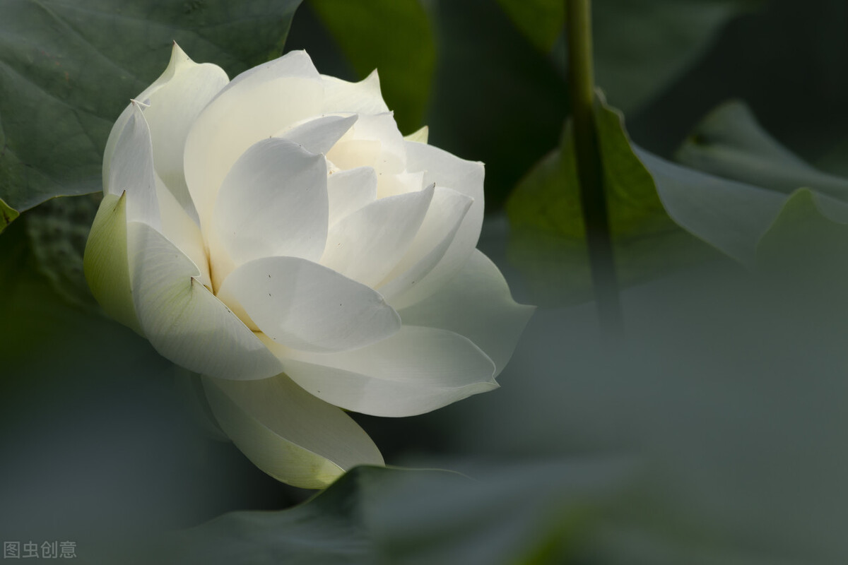 伤害最深的人往往是自己最亲的人,最亲的人让我心寒了怎么办