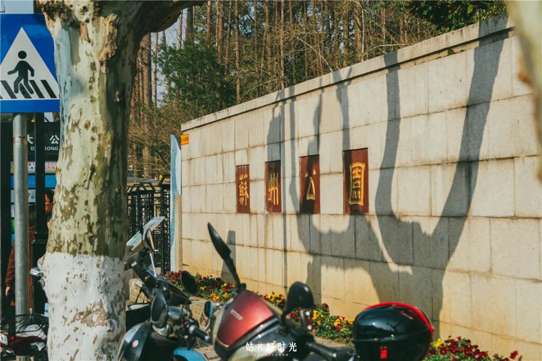 五卅路,苏州民国风情一条街