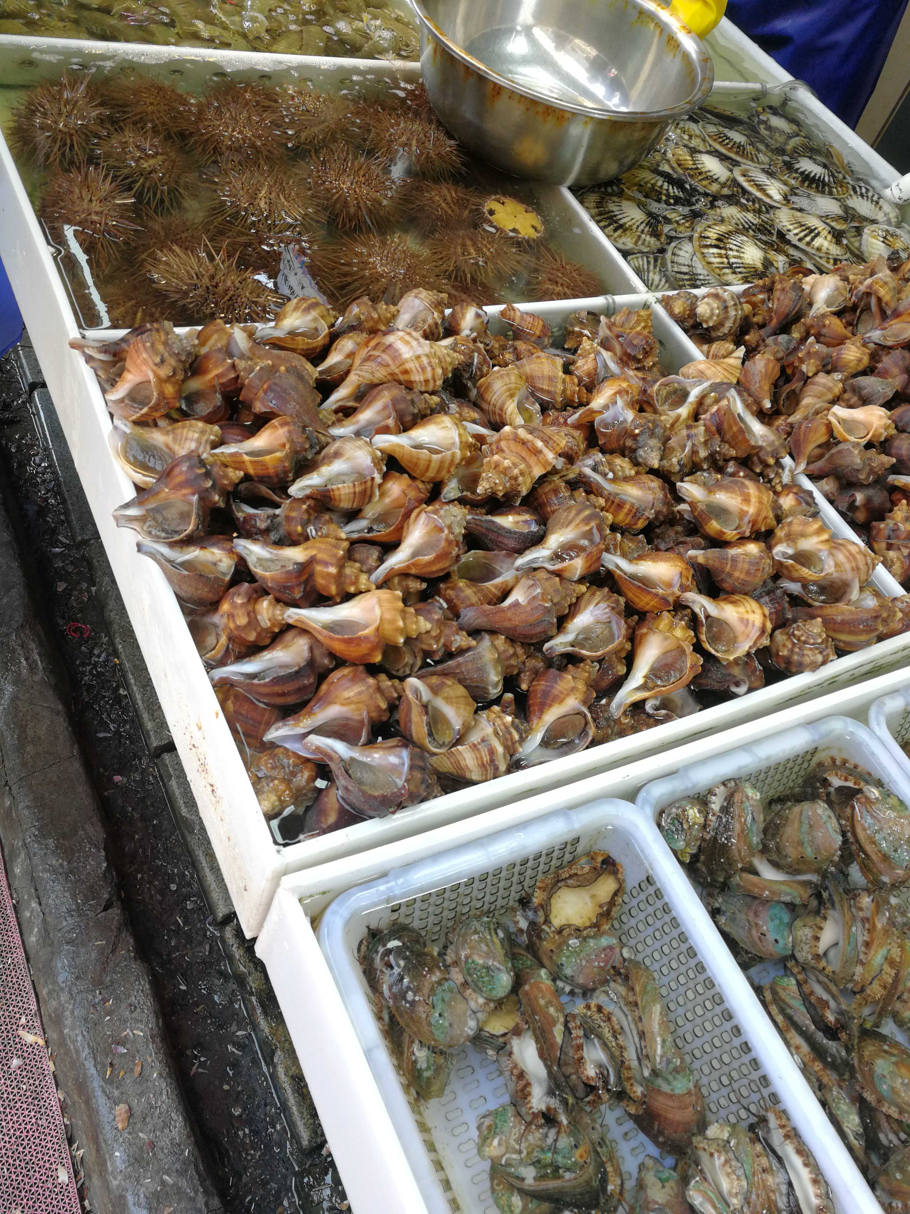 海鲜打卡地点推荐,五一海鲜打卡地