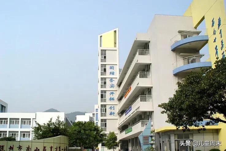 深圳龙岗十大民办小学排名,深圳南山区十大公立小学