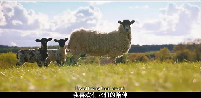 豆瓣9.6,这个“英国版李子柒”承包了我本月的笑点