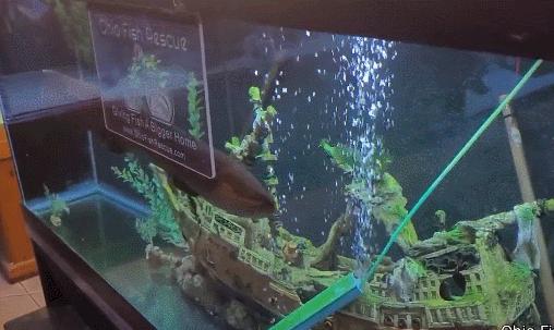 25张活久未见的历史照片,35张活久见的照片