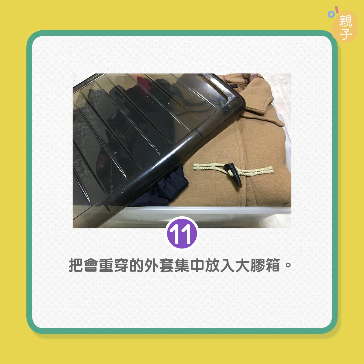 鏂板啝鑲虹値缁嗚弻,鏂板啝鑲虹値闉嬪瓙娑堟瘨