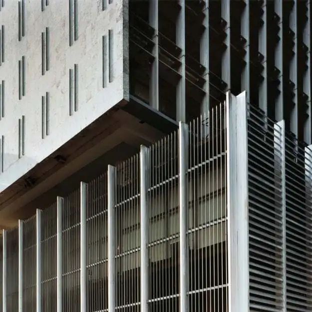 现代主义建筑大师,巴西建筑师