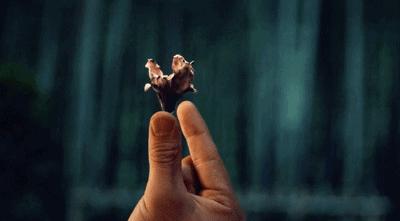 男人谈恋爱遭遇杀猪盘,当男人恋爱时杀猪盘成功了吗