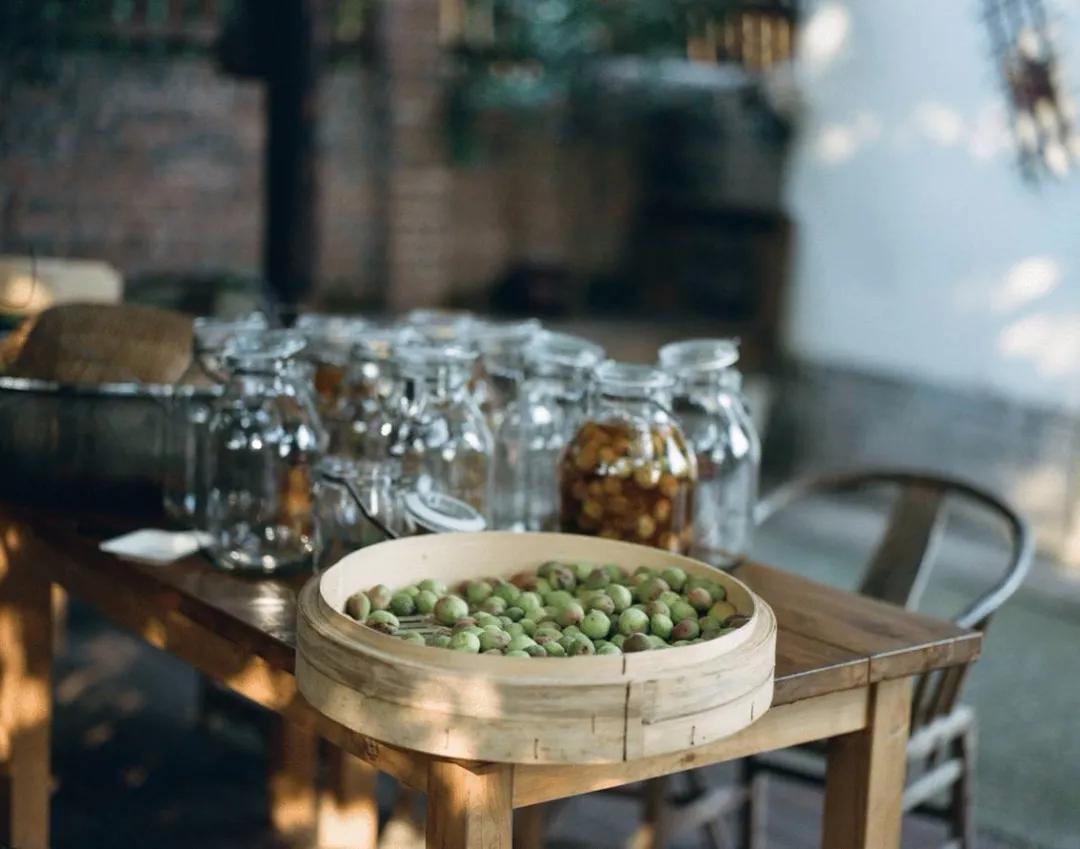 租下城郊200㎡小院，和陌生人一起生活5年：唱歌、染布、盖树屋