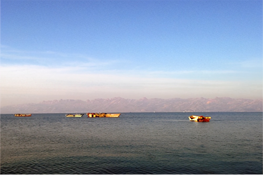 海洋生态，一站体验｜青岛市灵岛金沙品牌助力海洋经济新发展