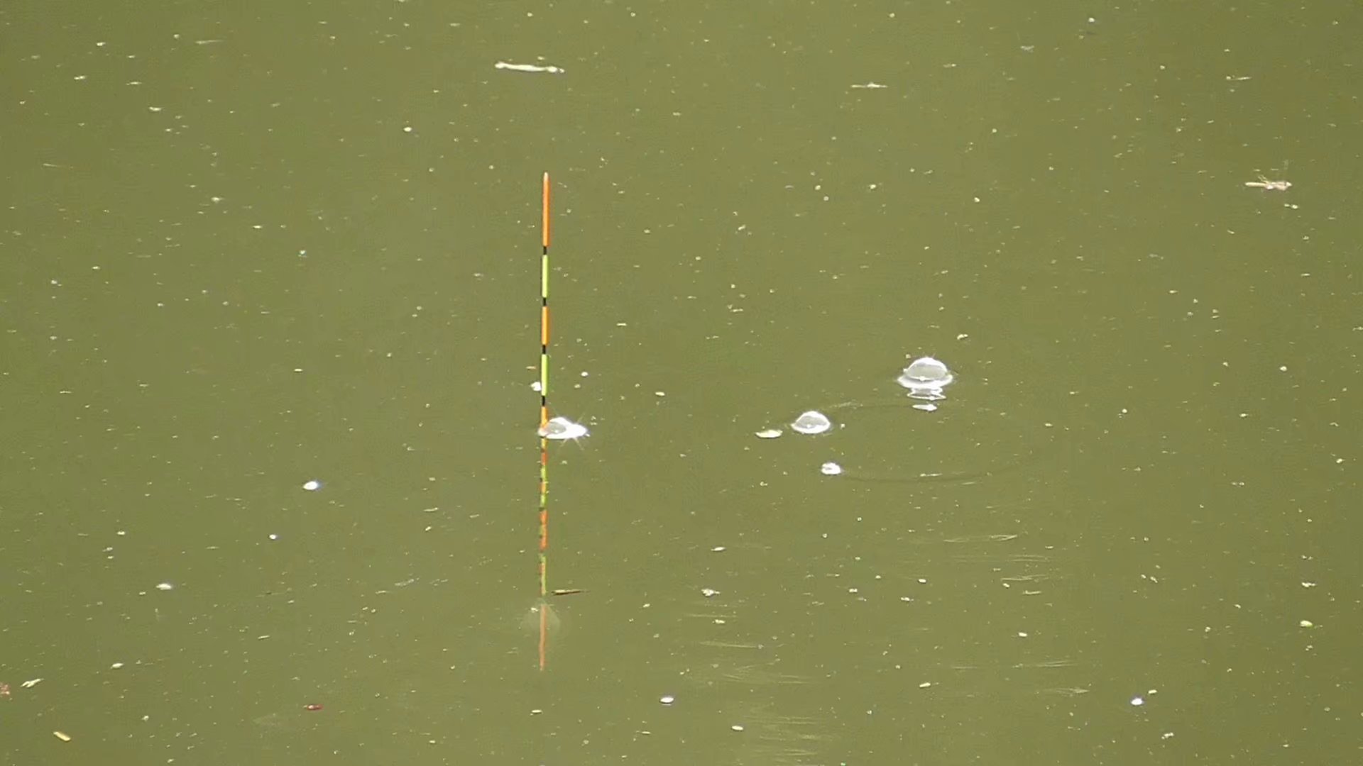 下雨前几天没口、闹小鱼？作钓时记住这四点，鱼获也不少