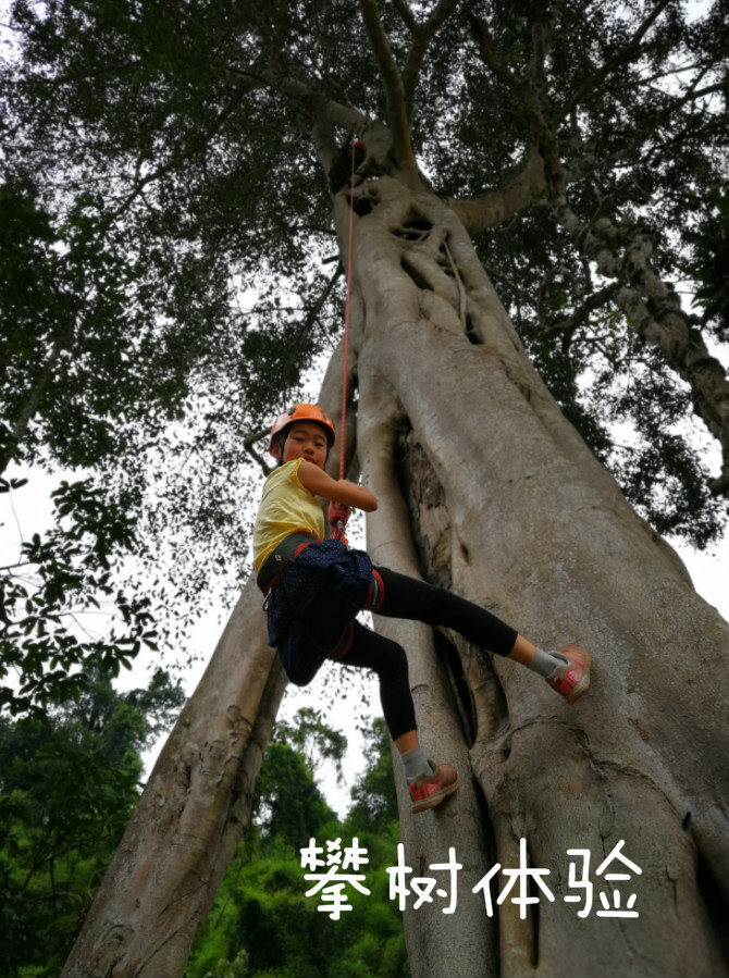 西双版纳13大旅游度假酒店，高品质，家庭出游最佳选择#版纳旅游